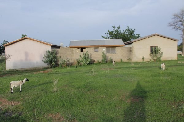 WhatsApp Image 2024-08-08 at 12.58.47_16d27531